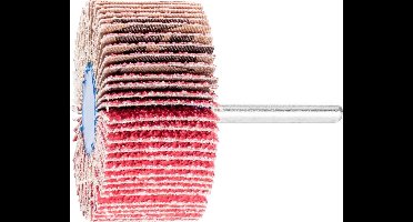 PFERD TOOLS 44411754 Lamellenschijf Diameter 60 mm 10 stuk(s)