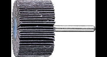 PFERD TOOLS 44450080 Lamellenslijper Diameter 50 mm 10 stuk(s)