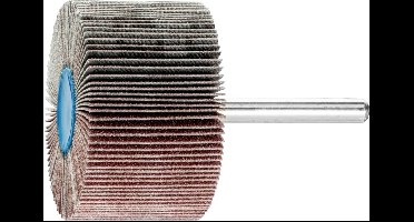 PFERD TOOLS 44503156 Lamellenschijf Diameter 50 mm 10 stuk(s)