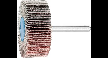 PFERD TOOLS 44504066 Lamellenslijper Diameter 50 mm 10 stuk(s)