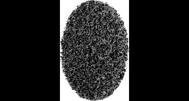 PFERD TOOLS 44692150 Reinigingsschijf 150 mm 4 stuk(s)