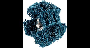 PFERD TOOLS 44698252 Slijpsterren Diameter 25 mm 20 stuk(s)