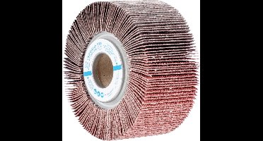 PFERD TOOLS 44712061 Waaier Diameter 100 mm 2 stuk(s)