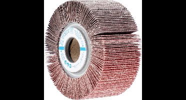 PFERD TOOLS 44712081 Waaier Diameter 100 mm 2 stuk(s)