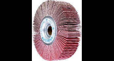 PFERD TOOLS 44730306 Waaier Diameter 165 mm 2 stuk(s)