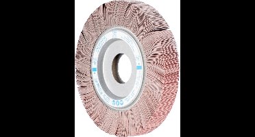 PFERD TOOLS 44736241 Waaier Diameter 200 mm 2 stuk(s)