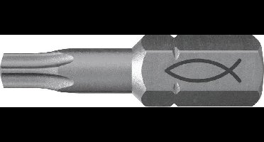 Fischer FPB T 30 PROFI Bit W 10 557849 Bitset 10-delig