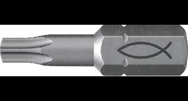 Fischer FPB T 10 PROFI Bit W 10 557845 Bitset 10-delig