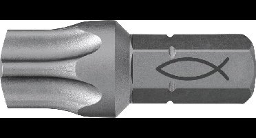 Fischer FPB T 50 W 1 557839 TX-bit 1 stuk(s)