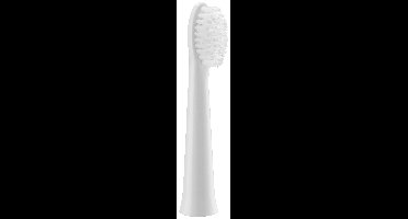 Panasonic WEW0972W503 Opzetborstel voor elektrische tandenborstel 2 stuk(s) Wit