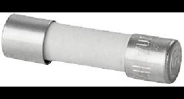 Weidmüller 2780730000 RS-FUSE 5X20 5A250V F Buiszekering 5 A Snel -F- Inhoud 10 stuk(s)