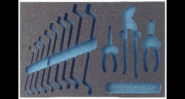 Hazet 163-59L 163-59L Plukschuiminlegstuk (l x b) 519 mm x 342 mm