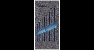 Hazet 163-95L 163-95L Plukschuiminlegstuk (l x b) 342 mm x 172 mm