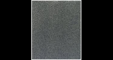 Bosch Accessories C355 2608608H66 Schuurblad Korrelgrootte (num) 320 (b x h) 230 mm x 280 mm 1 stuk(s)