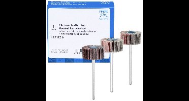 PFERD TOOLS 44498030 VIJVERSCHUURGEREEDSCHAP SET F 201,3 A Diameter 20 mm 1 set(s)