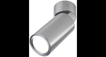 Paulmann Turnal Coin 3SD ABL Eisen 93091 LED-opbouwlamp LED 6 W IJzer (geborsteld)