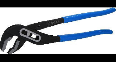 Brilliant Tools BT064912 BT064912 Waterpomptang 250 mm