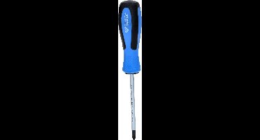 Brilliant Tools BT031007 BT031007 Kruiskop schroevendraaier PH 2