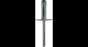 KS Tools 420.5051 Blindklinknagel-verbindingsclip voor BMW, verpakking van 50 stuks