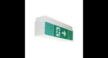 Brumberg 79031004 Vluchtwegverlichting Wandmontage, Plafondmontage Rechts