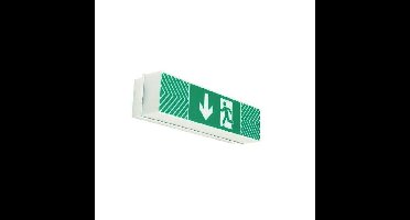 Brumberg 79130004 Vluchtwegverlichting Wandmontage Naar beneden