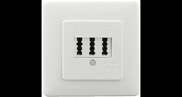 Rutenbeck TAE 2x6/6NFF Up rw Telefoonaansluitdoos Inbouw (in muur) Wit