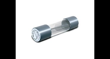Püschel Feinsicherungen 129.000 8A 129.000 8A G-zekering-insert (Ø x l) 5 mm x 25 mm 8 A 500 V Normaal -mT- Inhoud 1 stuk(s) Carton