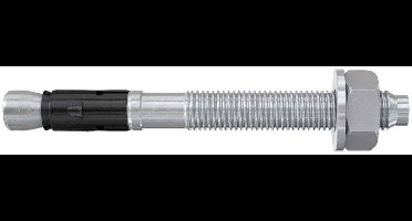 Fischer 564596 FAZ II Plus 16/50 Boutanker 173 mm 16 mm 10 stuk(s)