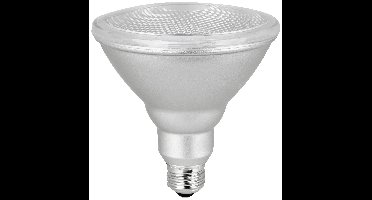 Megatron MT65022 LED-lamp Energielabel F (A - G) E27 Reflector 14.5 W Warmwit (Ø x l) 122 mm x 132 mm 1 stuk(s)