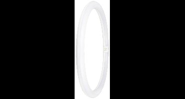 OSRAM HOMELIGHTING LED-buis-Ring Energielabel: E (A - G) G10q 24 W = 40 W Koudwit 1 stuk(s) (Ø x l) 400 mm x 400 mm