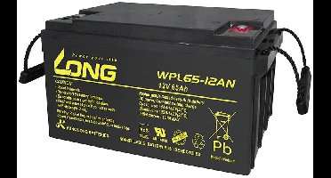 Long WPL65-12AN-M Loodaccu 12 V 65 Ah Loodvlies (AGM) (b x h x d) 350 x 179 x 167 mm M6-schroefaansluiting Geringe zelfontlading, Onderhoudsvrij