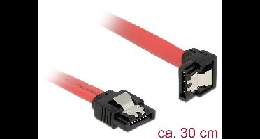 Delock HDD Aansluitkabel 0.3 m Zwart, Rood