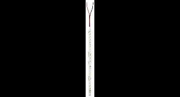 Paulmann Strip Gold P75 78449 LED-strip Energielabel: E (A - G) 24 V 10000 mm Warmwit 10 m