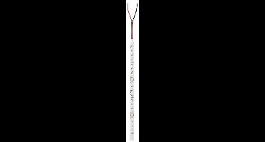 Paulmann Strip Gold P75 78452 LED-strip Energielabel: E (A - G) 24 V 10000 mm Daglichtwit 10 m