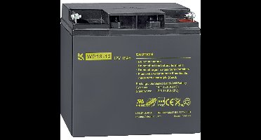 Loodaccu Schneider Electric Loodgel 18 Ah 12 V 1 stuk(s)