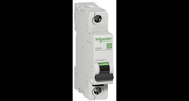Schneider Electric M9F11163 Zekeringautomaat