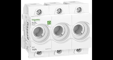 Schneider Electric R9J01316 Zekeringsokkel 1 stuk(s)