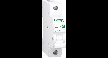 Schneider Electric R9F27116 Zekeringautomaat