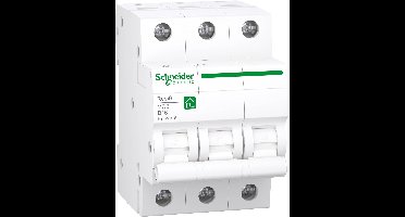 Schneider Electric R9F27316 Zekeringautomaat
