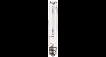Philips MST SON-T PIA PLUS Ontladingslamp E40 408 W Energielabel: E (A - G) Warmwit Buis 1 stuk(s)