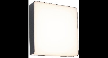 Paulmann Azalera 94840 LED-buitenlamp (wand) LED 8.5 W Antraciet