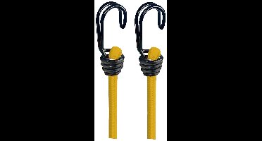 Basi 0004-0303 GSS Koord voor bagagespin Met haak