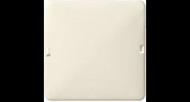 ELSO blinde afdekking 503010 1f. 80x80 RENOVATIE parelwit Blindafdekking 1 stuk(s)