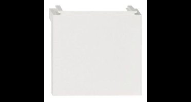 Schneider Electric Elso voor Kanaalaansluiting 1 stuk(s)