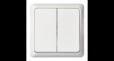 ELSO UP-serieschakelaar 241504 10A RENOVATIE compleet rw 1 stuk(s)