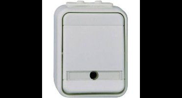 ELSO universele schakelaar 441639 bel. 10A licht/basisgrijs 1 stuk(s)