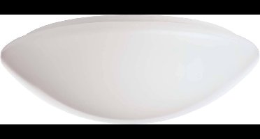 RIDI 420784 420784 LED-plafondlamp LED Wit