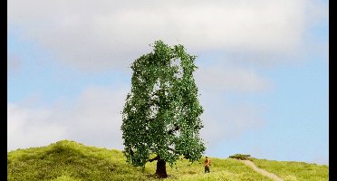 NOCH 20110 Boom Eik 150 mm 1 stuk(s)