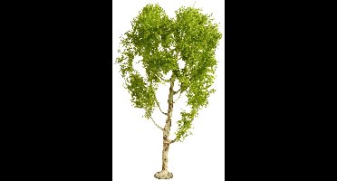 NOCH 20125 Boom Zachte berk 210 mm 1 stuk(s)