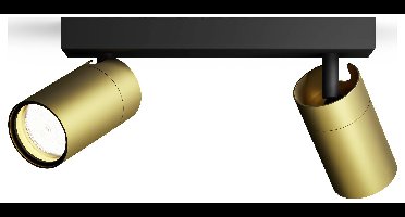 Philips Idris 8720169299191 Plafondspot GU10 Goud